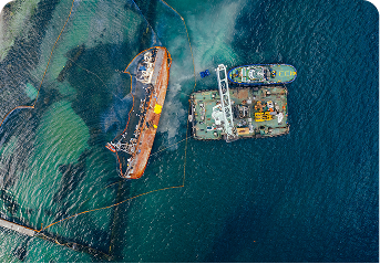 Surveys & Monitoring